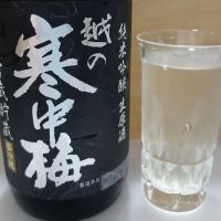 越の寒中梅