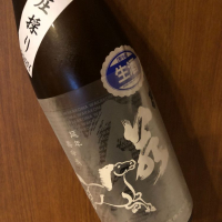 若駒