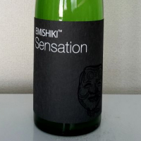 
            SENSATION_
            akimさん