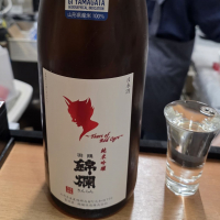 羽陽錦爛