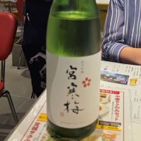 宮寒梅