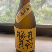 真向勝負
