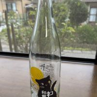 三芳菊