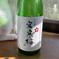 
            宮寒梅_
            ヨンジさん
