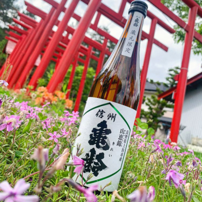 升屋酒店 | 信州亀齢販売のお知らせ。本日より販売いたします