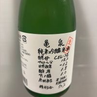 亀泉