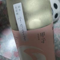 甲子のレビュー by_水玉772