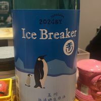 Ice Breaker