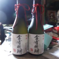 金雀・飛翔