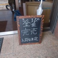
            金雀_
            makosukeさん