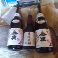 金雀・飛翔
