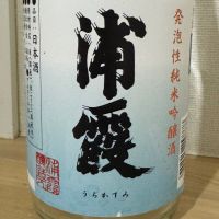 浦霞