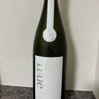 総乃寒菊
