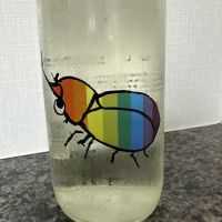 仙禽