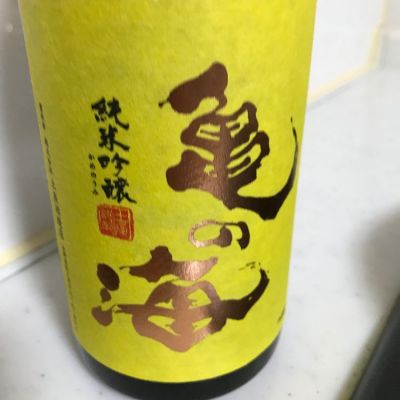 亀の海のレビュー by_mathematics