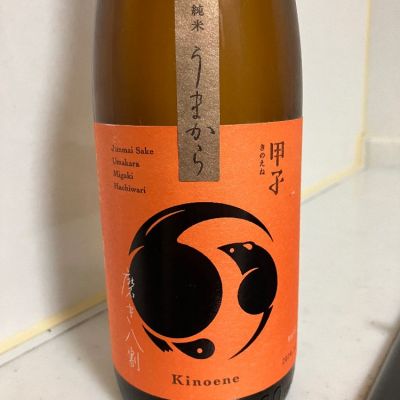 甲子のレビュー by_mathematics