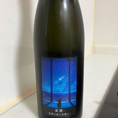 星猫～星降る夜に君想い～のレビュー by_mathematics