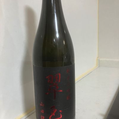 翠玉のレビュー by_mathematics