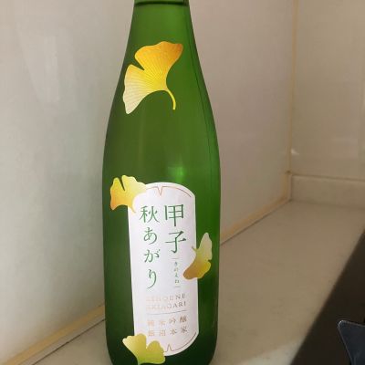 甲子のレビュー by_mathematics