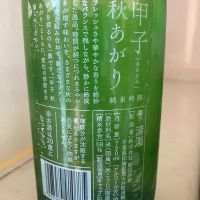 甲子のレビュー by_mathematics
