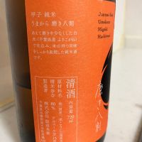 甲子のレビュー by_mathematics