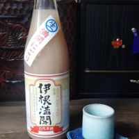 伊根満開