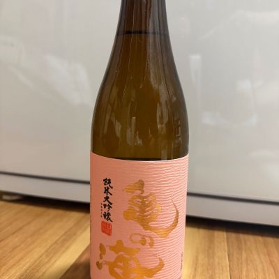 亀の海のレビュー by_じんじん