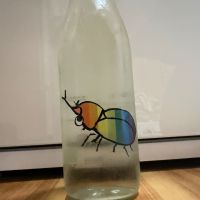仙禽