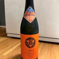 大典白菊