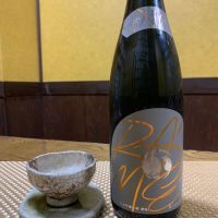 甲子のレビュー by_戒。