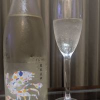 鳳凰美田