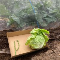 横山五十のレビュー by_gou