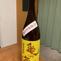 亀の海