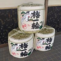 梅一輪のレビュー by_まさ