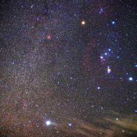 腰古井のレビュー by_まさ