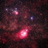 梅一輪のレビュー by_まさ