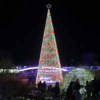 大那のレビュー by_まさ