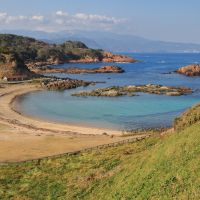 美田鶴のレビュー by_まさ