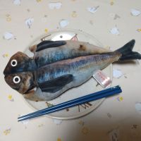 臥龍梅のレビュー by_まさ