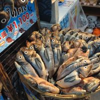 富士錦のレビュー by_まさ