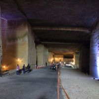 司牡丹のレビュー by_まさ