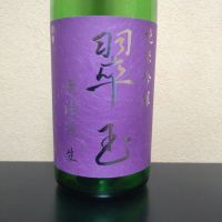 翠玉