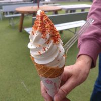 会津宮泉のレビュー by_まさ