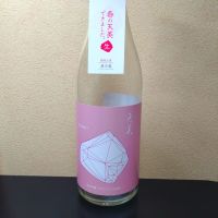 天美のレビュー by_まさ