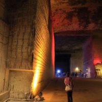 司牡丹のレビュー by_まさ