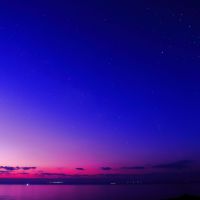 竹岡のレビュー by_まさ