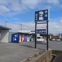 梅一輪のレビュー by_まさ