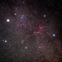 腰古井のレビュー by_まさ