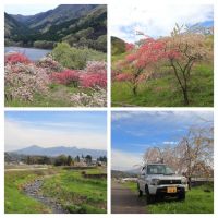 谷川岳のレビュー by_まさ