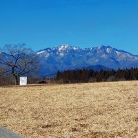 日光誉のレビュー by_まさ